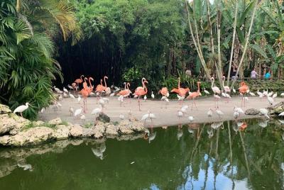 Skip the Line: Flamingo Gardens Admission Ticket in Fort Lauderdale Skip the Line: Flamingo Gardens Admission Ticket in Fort Lauderdale