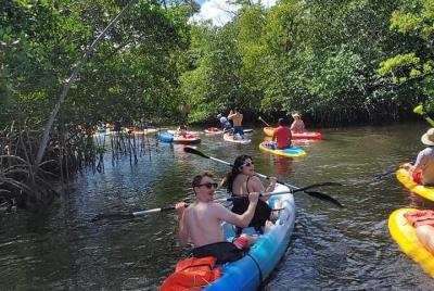 Island City ECO Paddle & Lesson: Explores Nature Preserve Tropica Island City ECO Paddle & Lesson: Explores Nature Preserve Tropica