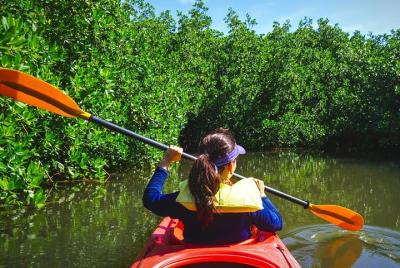 Fort Lauderdale’s Tropical Kayak Tour and Island Adventure Fort Lauderdale’s Tropical Kayak Tour and Island Adventure