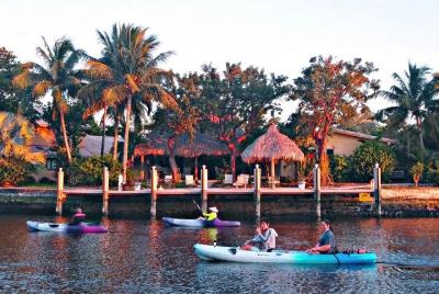 Kayak Rental: Explore Mangroves and Self-Navigated River Eco Paddle  Kayak Rental: Explore Mangroves and Self-Navigated River Eco Paddle