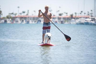 2 Hour Paddle Board Rental with Instruction  2 Hour Paddle Board Rental with Instruction