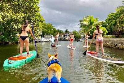 SUP PUP Paddleboard Tour SUP PUP Paddleboard Tour