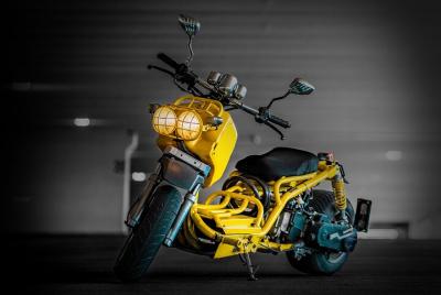 Ride Around Las Vegas on a MadDog 49cc Scooter 3 Hour Rental Ride Around Las Vegas on a MadDog 49cc Scooter 3 Hour Rental