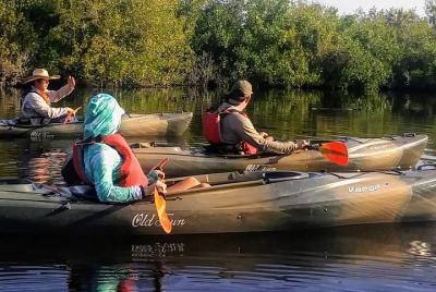 Kayak the Everglades Forest and Marsh Prairies 