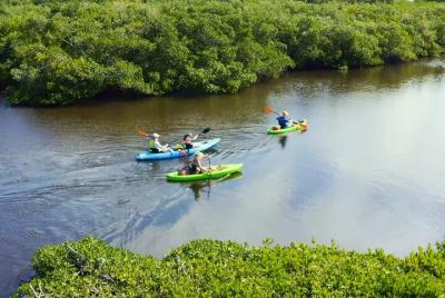 Kayaking the Canals of Venice, FL