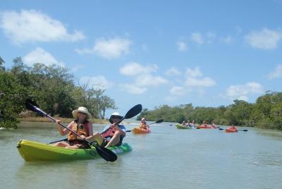 Guided Kayak Eco Tour in Florida