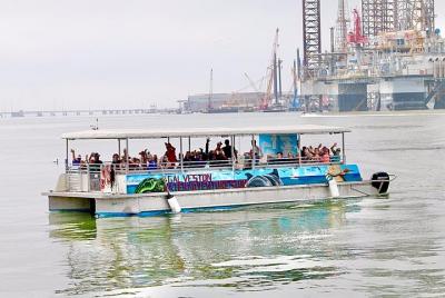 Dolphin Sightseeing Tour in Galveston with a Guide Dolphin Sightseeing Tour in Galveston with a Guide