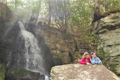 Hidden Cascade Hiking Tour in Great Smoky Mountains from Gatlinbu