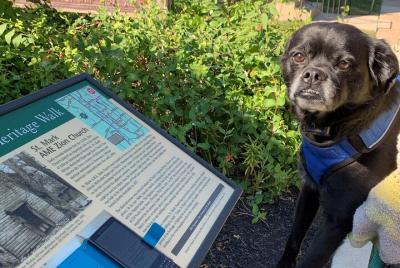 Mysteries on the Move: Scavenger Hunt in Gettysburg