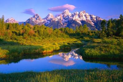 Grand Teton National Park Tour from Jackson Hole