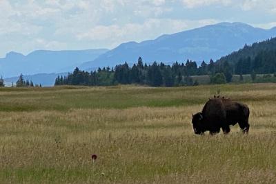 2-Person Grand Teton All-Day Private Tour 2-Person Grand Teton All-Day Private Tour
