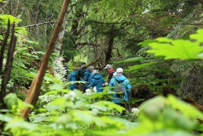 Full-Day Chilkat Inlet Coastal Hike from Haines