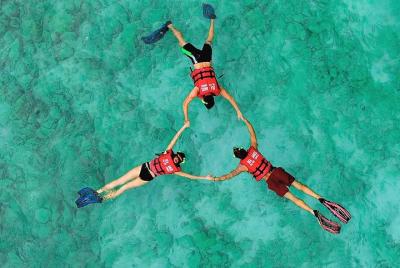 Full Day Phi Phi Island Budget Speed Boat Tour with Lunch