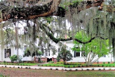 Hilton Head Honey Horn Admission with Guided Tour Hilton Head Honey Horn Admission with Guided Tour