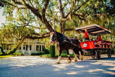 Beaufort’s #1 Horse & Carriage History Tour Beaufort’s #1 Horse & Carriage History Tour