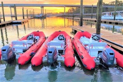 Guided Mini Boat Dolphin Tour Guided Mini Boat Dolphin Tour