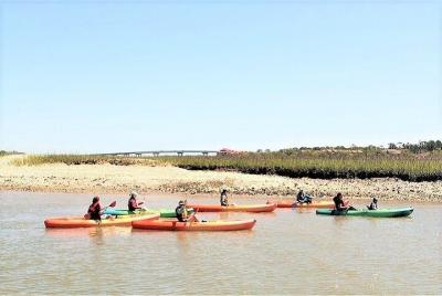 Guided Kayak Eco Tour Guided Kayak Eco Tour