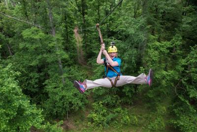 10 Zip Line Zip Tour (1.5 hours)