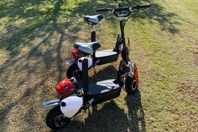 Half-Day Private Gas-Powered Scooter Tour in Houston TX