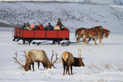 Grand Teton and National Elk Refuge Winter Day Trip Grand Teton and National Elk Refuge Winter Day Trip