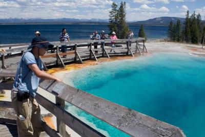 Yellowstone Wildlife Safari Private Tour Yellowstone Wildlife Safari Private Tour