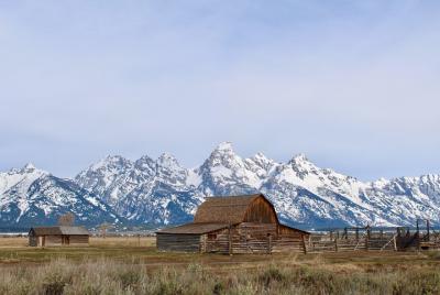 Grand Teton Half Day Tour Grand Teton Half Day Tour