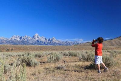 Half-Day Grand Teton Wildlife Safari Private Tour Half-Day Grand Teton Wildlife Safari Private Tour