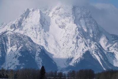 Grand Teton Winter Wildlife Tour Grand Teton Winter Wildlife Tour