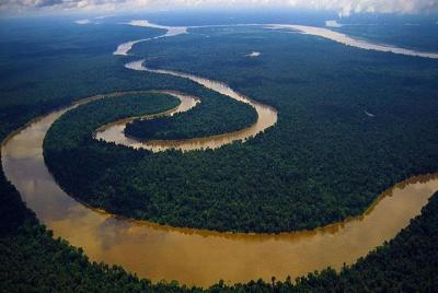 4-Day All Inclusive Private Guided Pacaya Samiria National Reserv