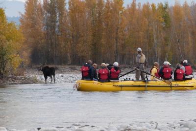 Half-Day Snake River Scenic Float Trip from Jackson Half-Day Snake River Scenic Float Trip from Jackson