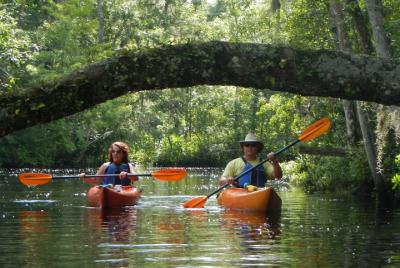 Lofton Creek Kayaking Trip with Professional Guide Lofton Creek Kayaking Trip with Professional Guide