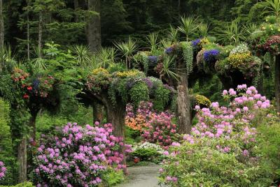 Glacier Gardens Rainforest Adventure in Juneau Glacier Gardens Rainforest Adventure in Juneau