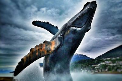 Goldtown Segway Adventure