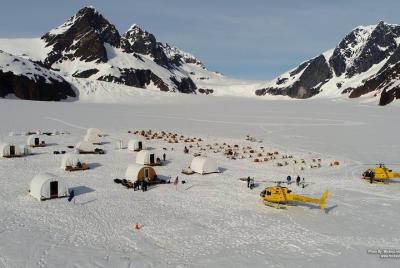 Juneau Shore Excursions: Juneau Helicopter Tour & Dogsledding Experience Juneau Shore Excursions: Juneau Helicopter Tour & Dogsledding Experience