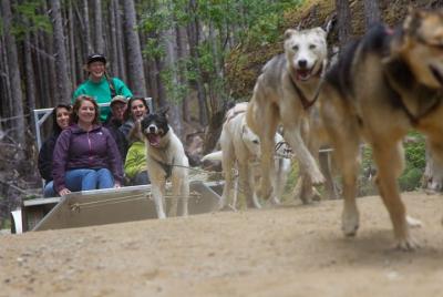 Sled Dog Discovery in Juneau Sled Dog Discovery in Juneau