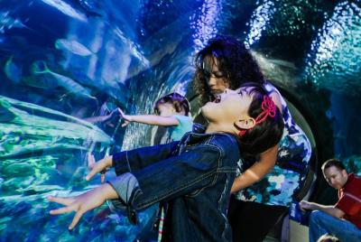 SEA LIFE Kansas City Aquarium Admission Ticket SEA LIFE Kansas City Aquarium Admission Ticket