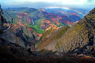 Private Luxury Tour of Kauai: South & West Shores Private Luxury Tour of Kauai: South & West Shores
