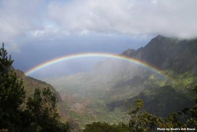 Kauai Kauai's Waimea Canyon and South Side Private Guided Tour
