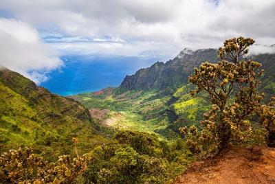 Private Waimea Canyon 6 hour Tour with Local Guide Private Waimea Canyon 6 hour Tour with Local Guide