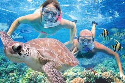 Kauai Kauai's Ultimate Guided Shore Snorkeling Adventure