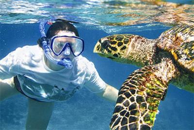 Kauai Kauai's Ultimate South Island Zodiac Boat Snorkel Adventure