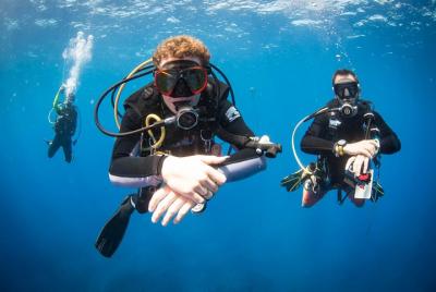 Discover Scuba Dive - OCEAN EXPERIENCE (1 Tank Dive) Discover Scuba Dive - OCEAN EXPERIENCE (1 Tank Dive)