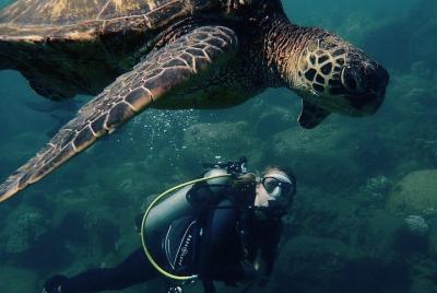 Kauai Kauai's Ultimate South Shore 2 Tank Dive (Certified Divers Only)