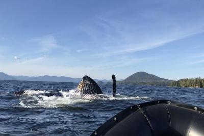 Alaska Ocean Wilderness Expedition 