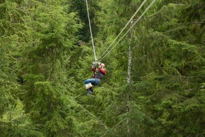 Rainforest Zip, Skybridge & Rappel Adventure in Ketchikan, AK