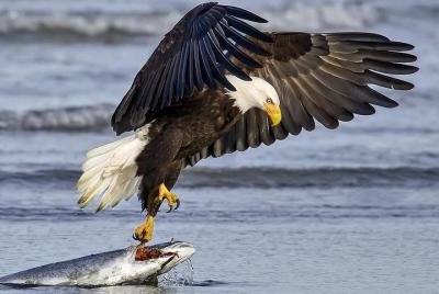 2 Hour Custom, Private, Group Charter