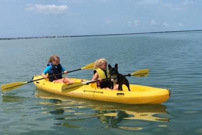 Kayak and Paddleboard Rentals Key Largo Kayak and Paddleboard Rentals Key Largo