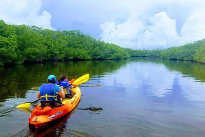 Explore the Mangrove Creeks with an All Day Tandem Kayak Rental  Explore the Mangrove Creeks with an All Day Tandem Kayak Rental