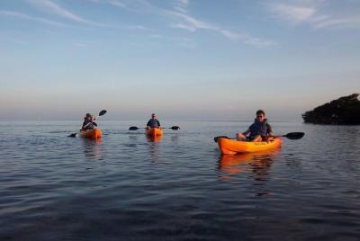 Guided Eco Tour through the Mangrove Ecosystem on kayak or paddleboard  Guided Eco Tour through the Mangrove Ecosystem on kayak or paddleboard