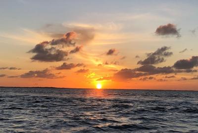 See Wildlife and Sunset- Boat Rental in Key Largo See Wildlife and Sunset- Boat Rental in Key Largo